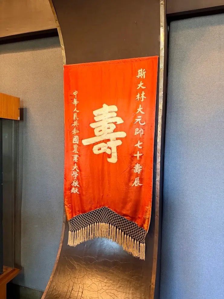 中国文物+1