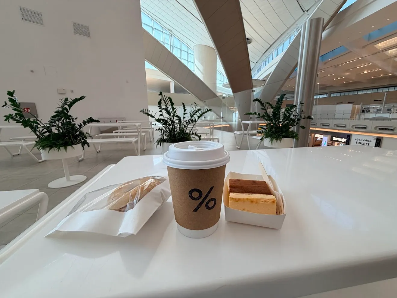 永远效忠Arabica